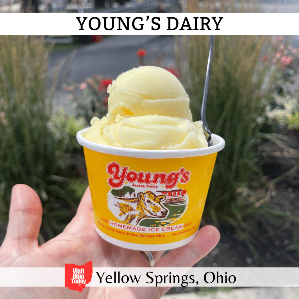 a yellow container that says "Young's Jersey Dairy Homemade Ice Cream," yellow ice cream is in the cup Photo credit: Cindy Gordon of VisitOhioToday.com
