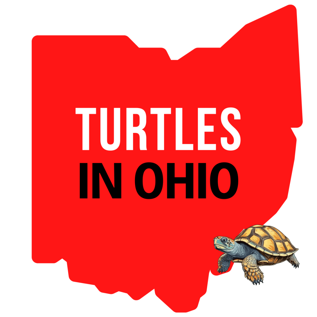 Ticks In Ohio Visit Ohio Today