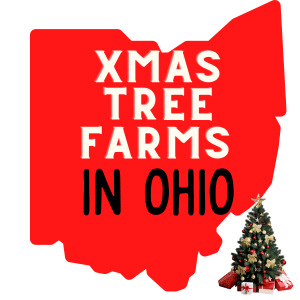 A red image of the Ohio map silhouette with a text overlay saying xmas tree farms in ohio. An image of a decorated christmas tree is in the bottom right of the image