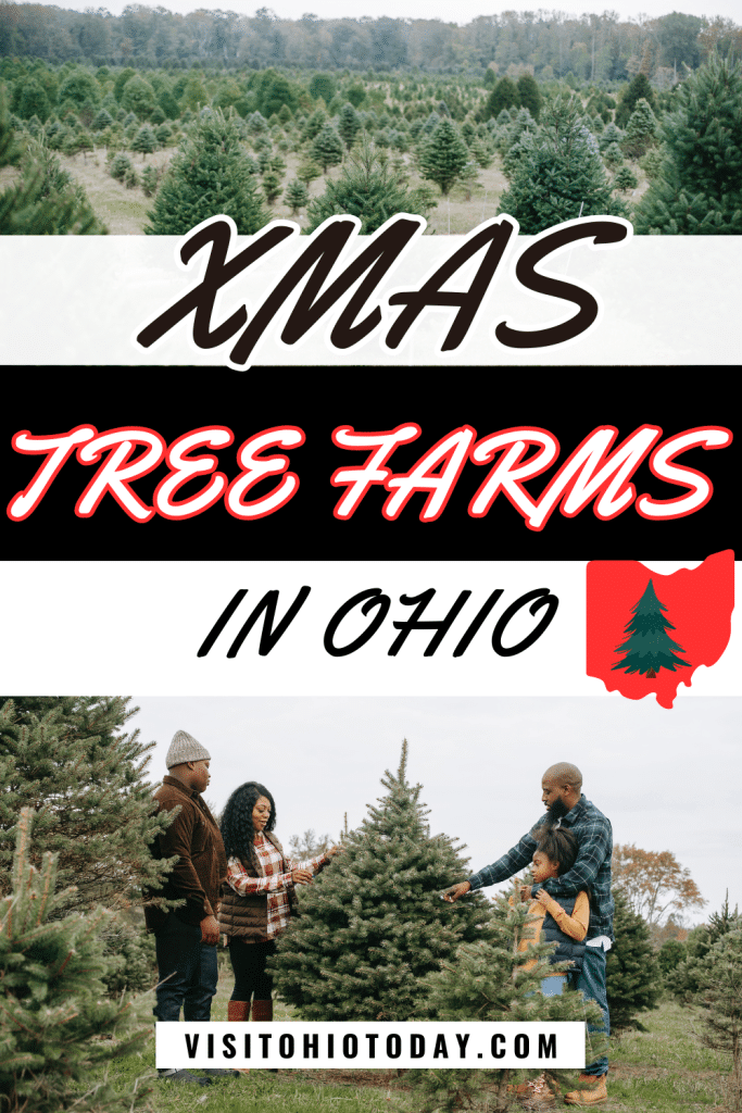 Xmas Tree Farms In Ohio Visit Ohio Today