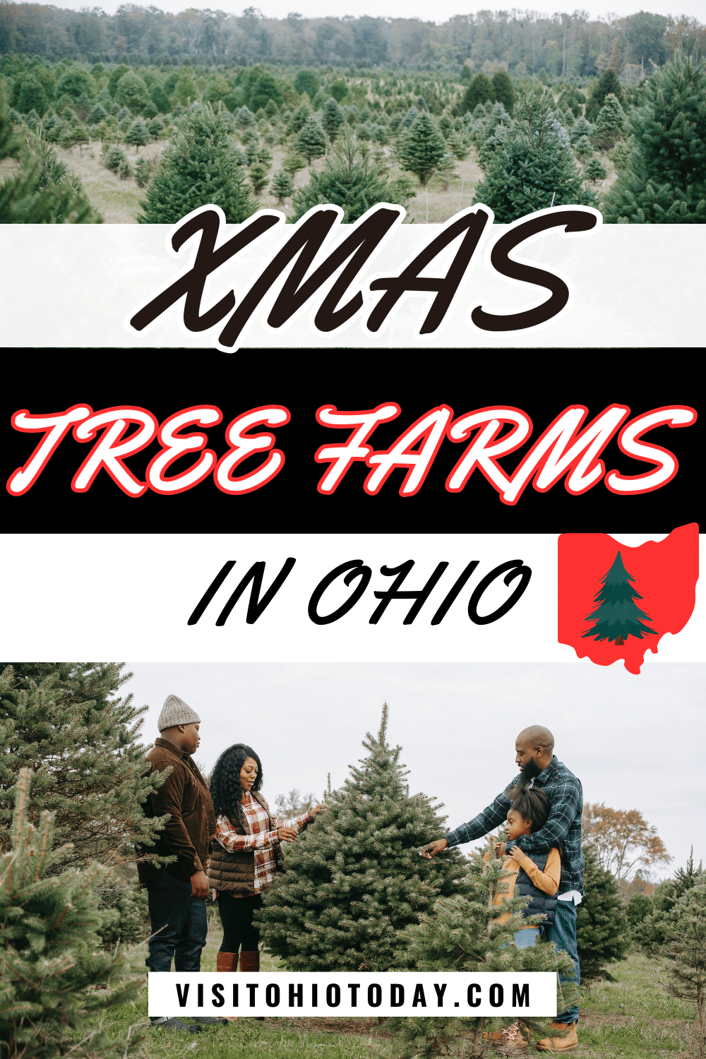 A vertical image of two photos. Top photo is a christmas tree farm. Bottom photo is a family choosing a christmas tree. Text overlay says xmas tree farms in ohio