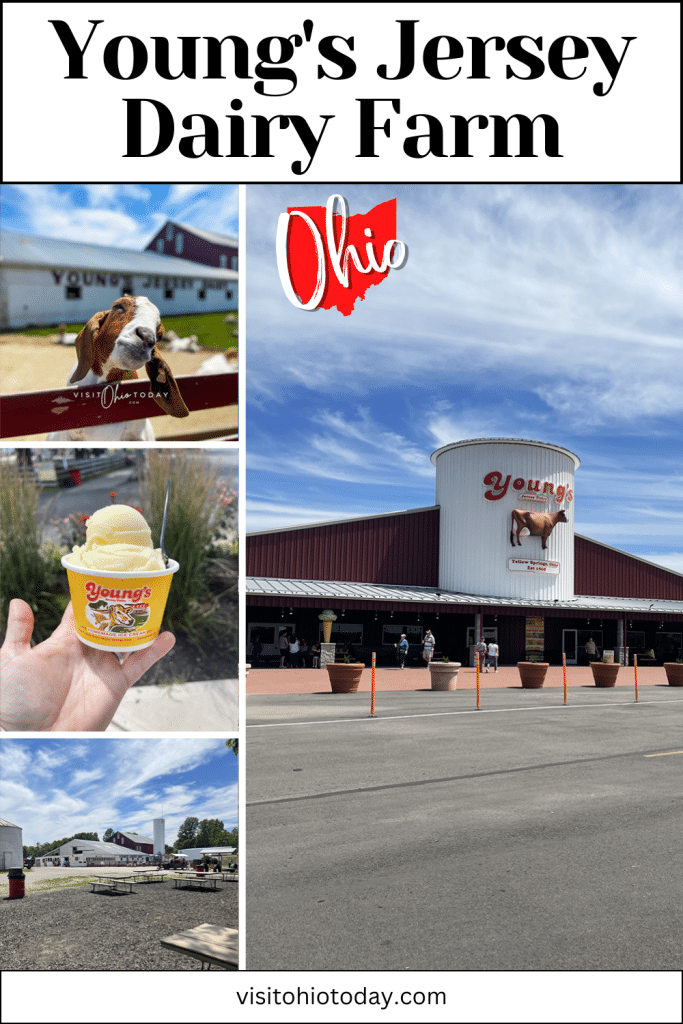 Young's Dairy Visit Ohio Today