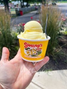 Vertical photo of a hand holding a yellow tub containing ice cream