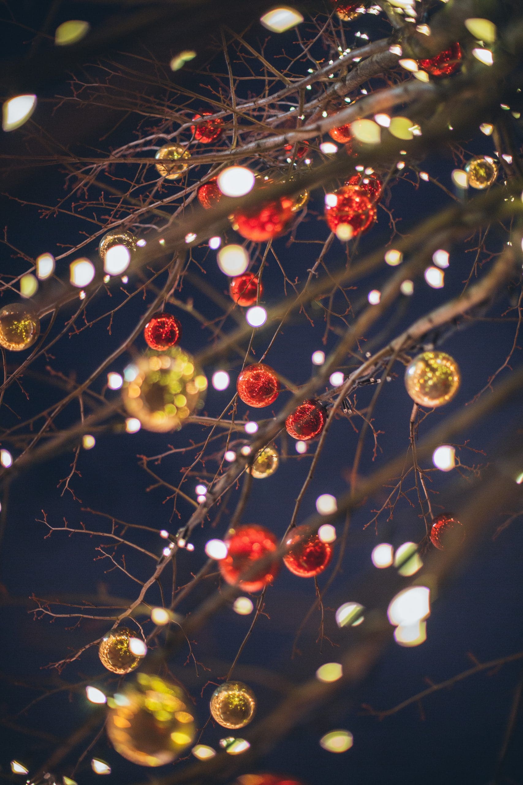 A close up of christmas tree branches with coloured bauble decorations