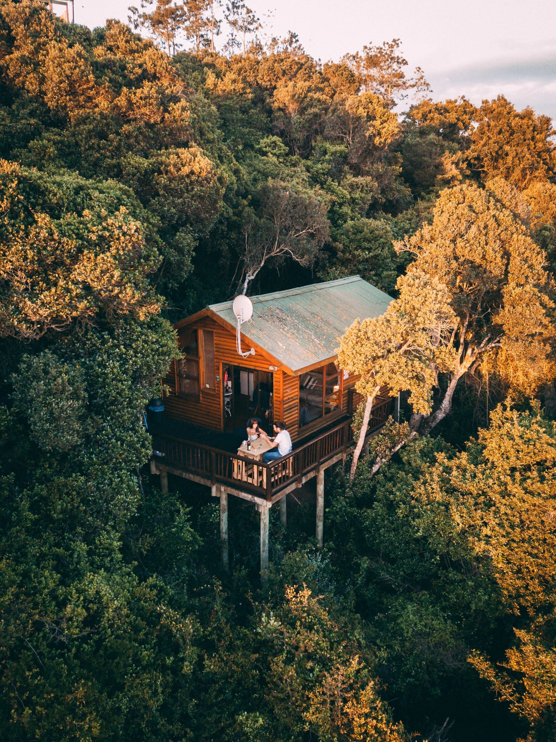 A treehouse lodge surrounded by trees