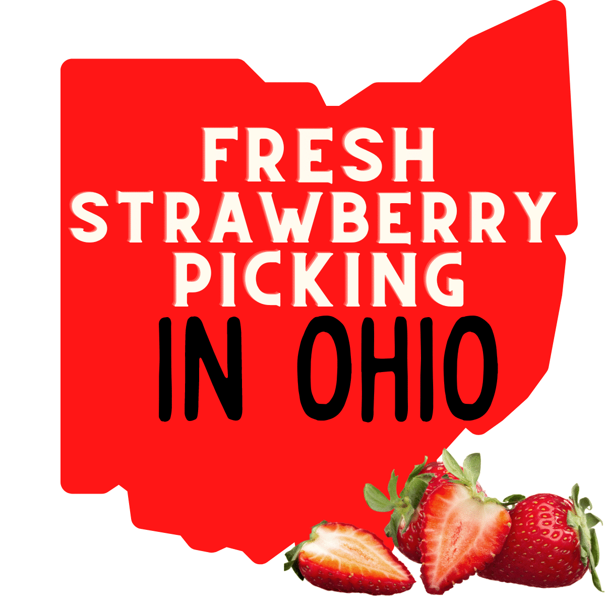 Fresh Strawberry Picking In Ohio Visit Ohio Today