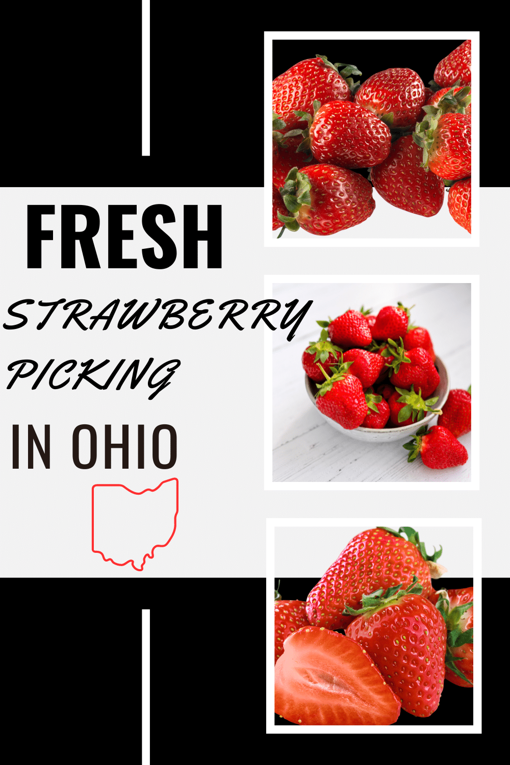A collage of three images of strawberries. Text overlay says fresh strawberry picking in ohio