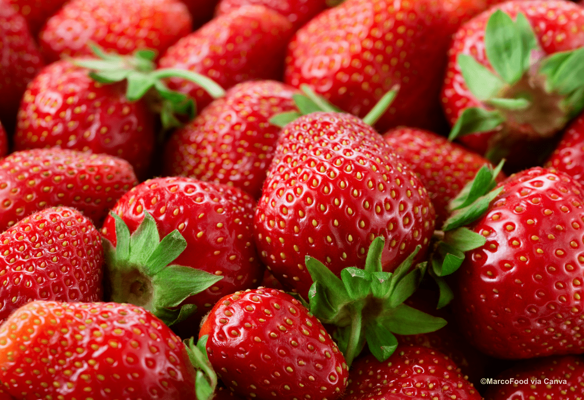 horizontal photo of a pile of ripe red strawberries