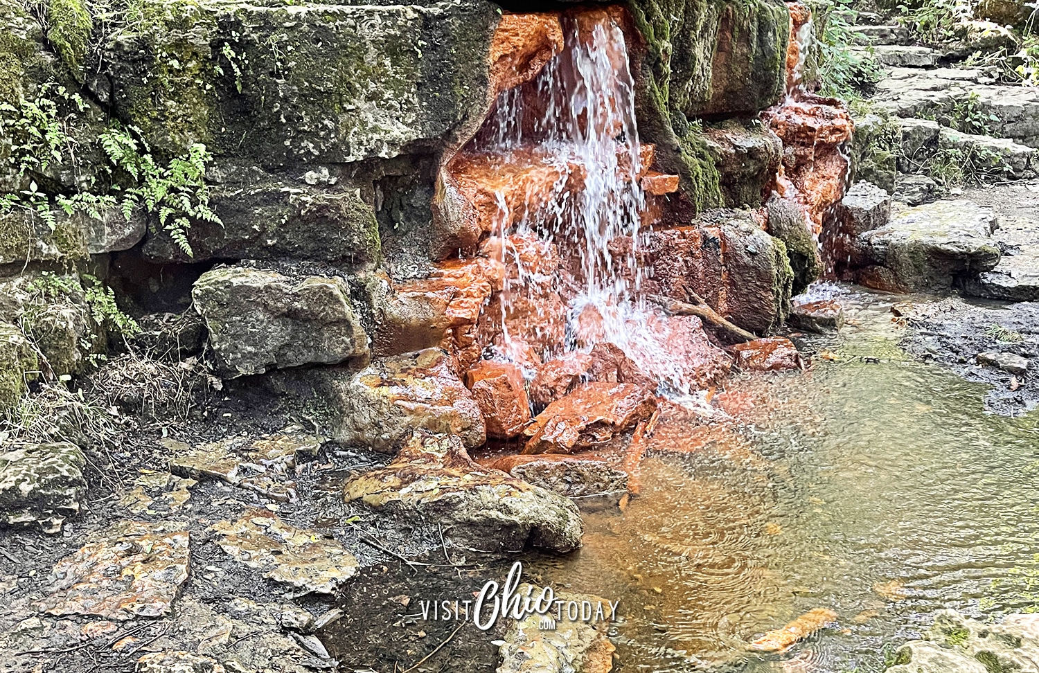 horizontal photo of the Yellow Springs at Glen Helen Nature Preserve. Photo credit: Cindy Gordon of VisitOhioToday.com
