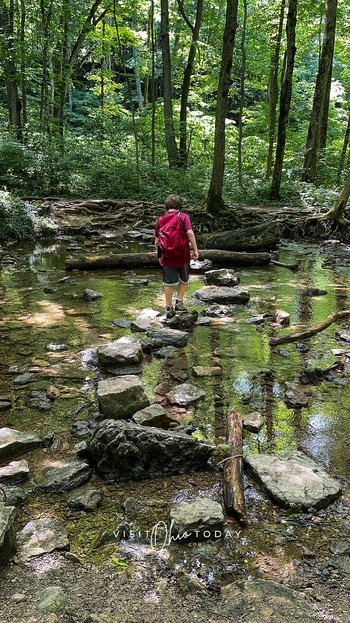 vertical photo showing a boy crossing stepping stones over a creek at Glen Helen Nature Preserve. Photo credit: Cindy Gordon of VisitOhioToday.com