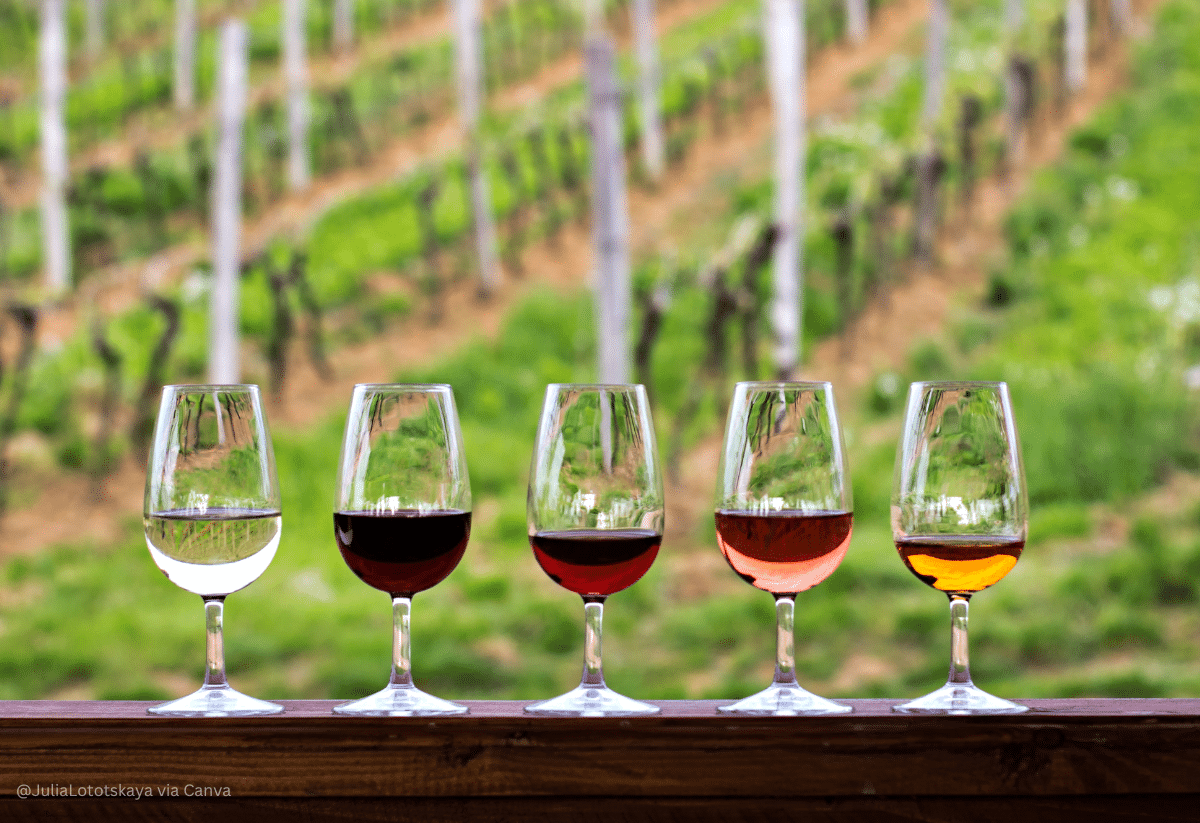 horizontal photo of a flight of 5 wine glasses on a wooden ledge overlooking a vineyard