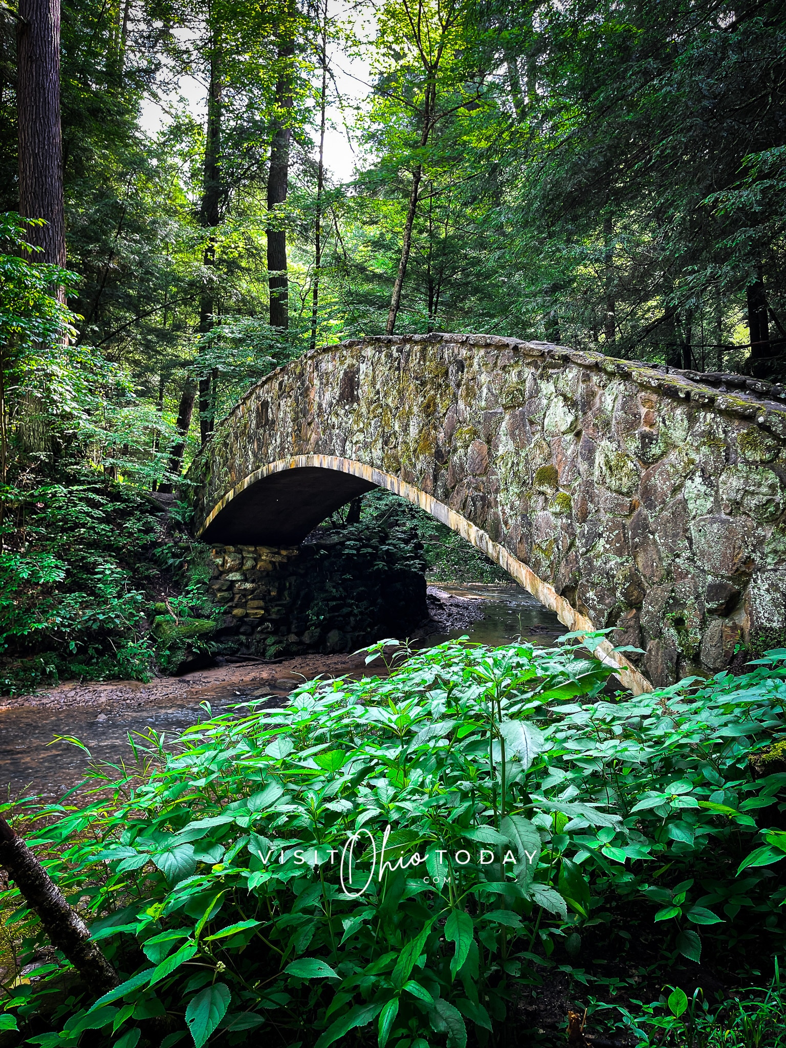 vertical photo showing a stone bridge over the river at old man's cave with a stream beneath it and trees and foliage surrounding it