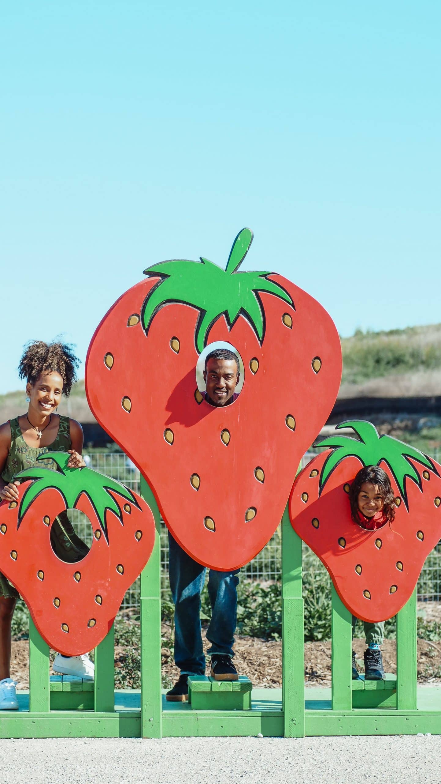 A family of three posing with large strawberry props at a strawberry farm