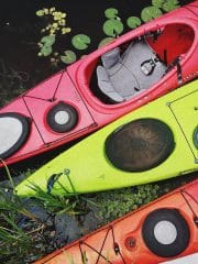 square photo showing 3 kayaks moored on dark water with water plants around them