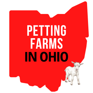 Petting Farms In Ohio
