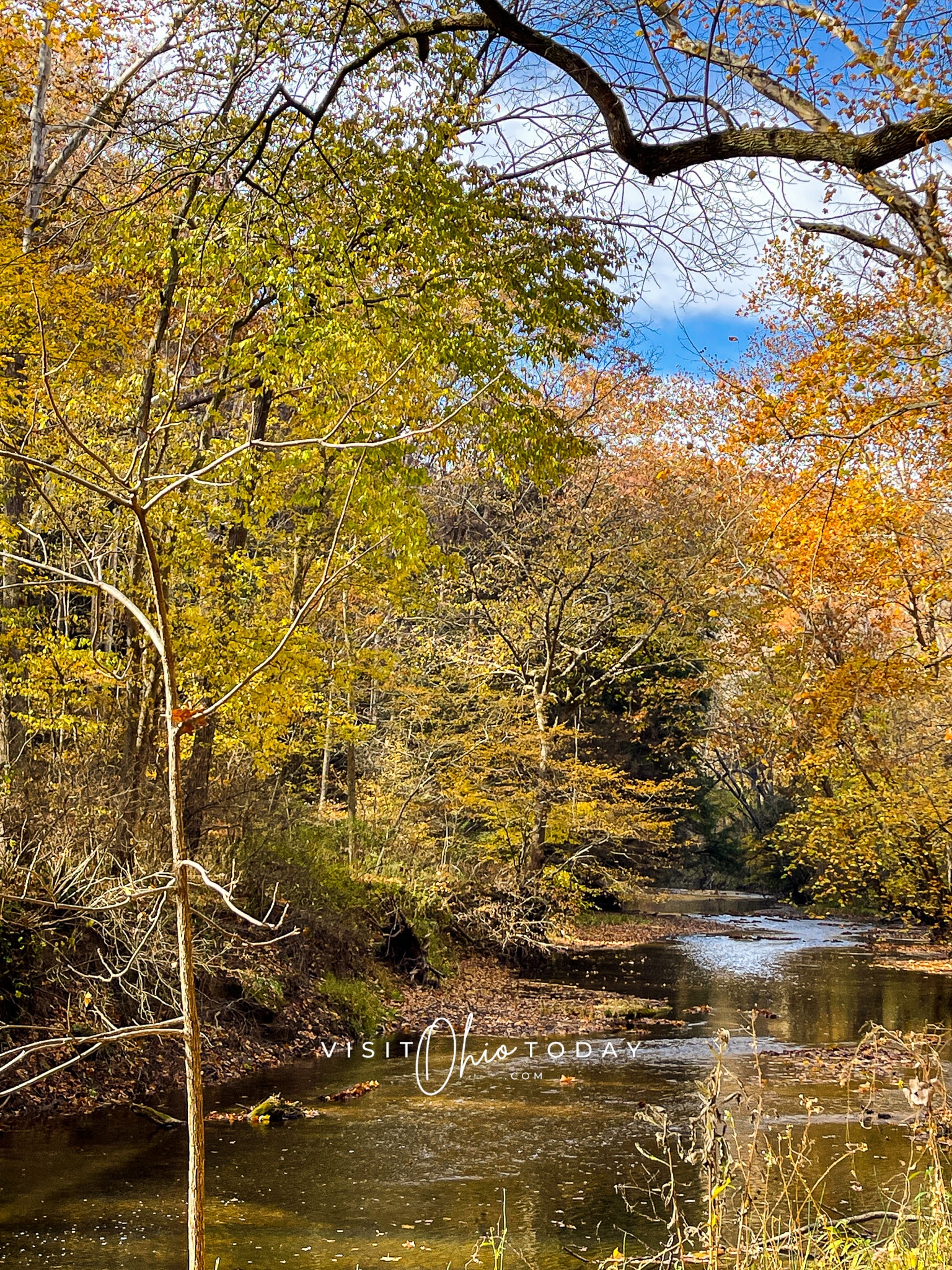 vertical photo showing the creek at clear creek metro park with trees that are just changing to fall colors