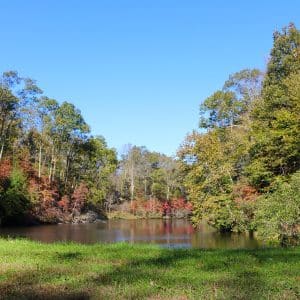 square photo of a grassy area in the foreground with a body of water and trees and plants surrounding it. In summer and autumn colors