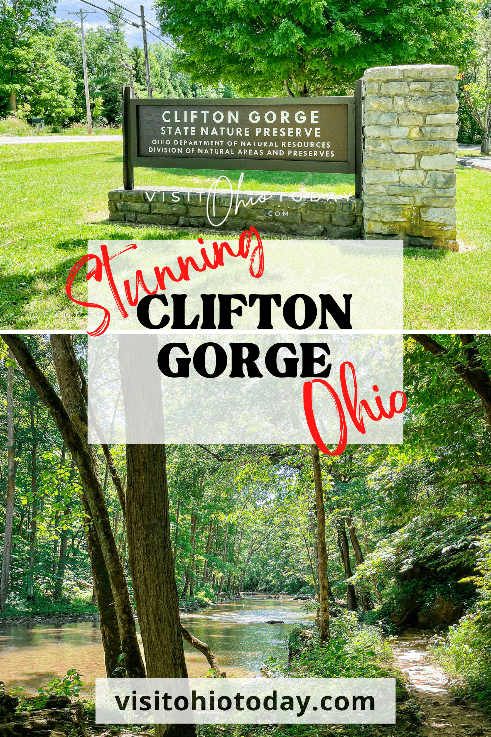 Clifton Gorge State Nature Preserve is a stunning area of countryside that contains one of the most spectacular dolomite and limestone gorges in Ohio. Clifton Gorge is a 2-mile area of the Little Miami State and National Scenic Rivers. Here you will find an array of spring and summer wildflowers and this is also a birding hotspot.