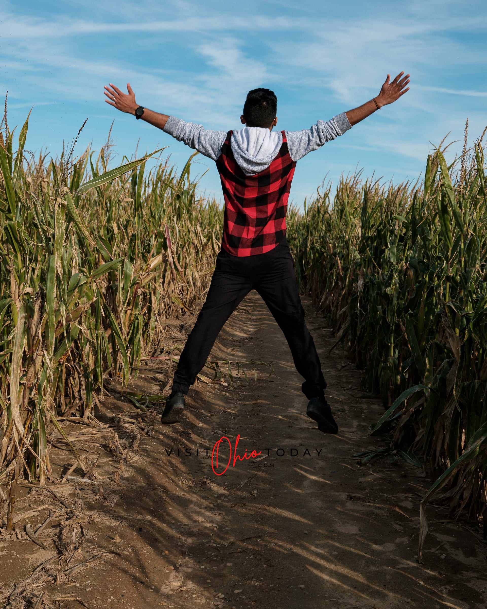 vertical image showing a man doing a jumping jack in a corn maze
