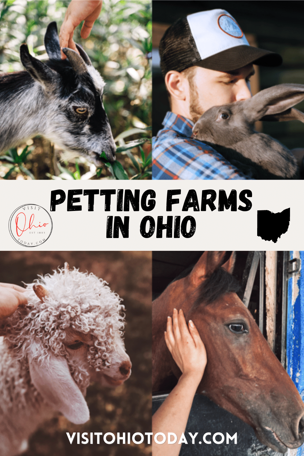 vertical image showing 4 animals being petted - a goat, a rabbit, a lamb and a horse with a text banner: Petting Farms in Ohio