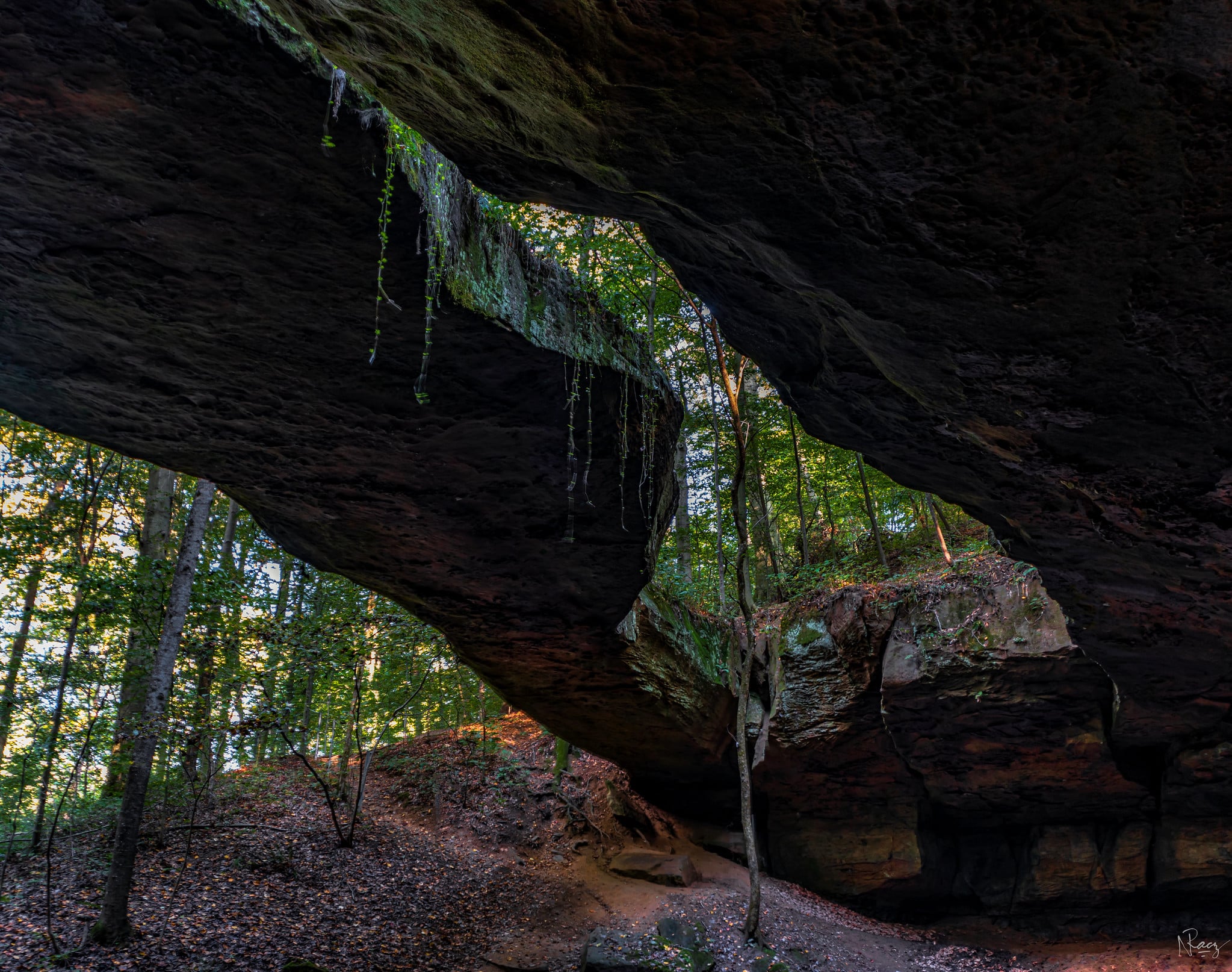 horizontal photo showing the rock bridge from underneath