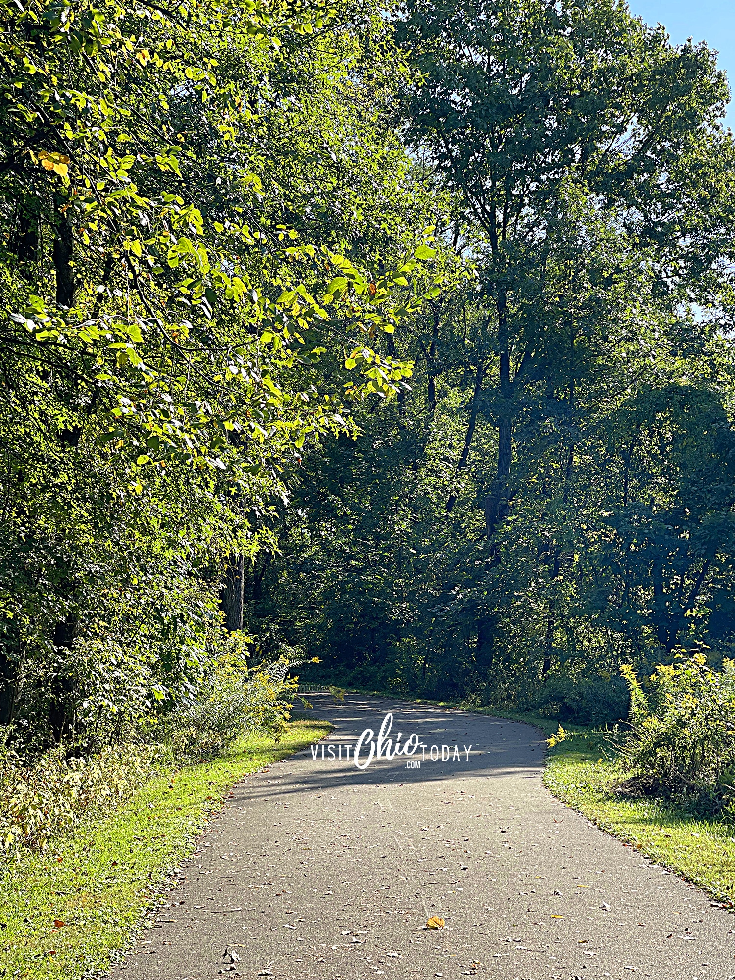 vertical photo showing a grey paved path into a green forest with trees with green leaves and green grass. Photo credit: Cindy Gordon of VisitOhioToday.com
