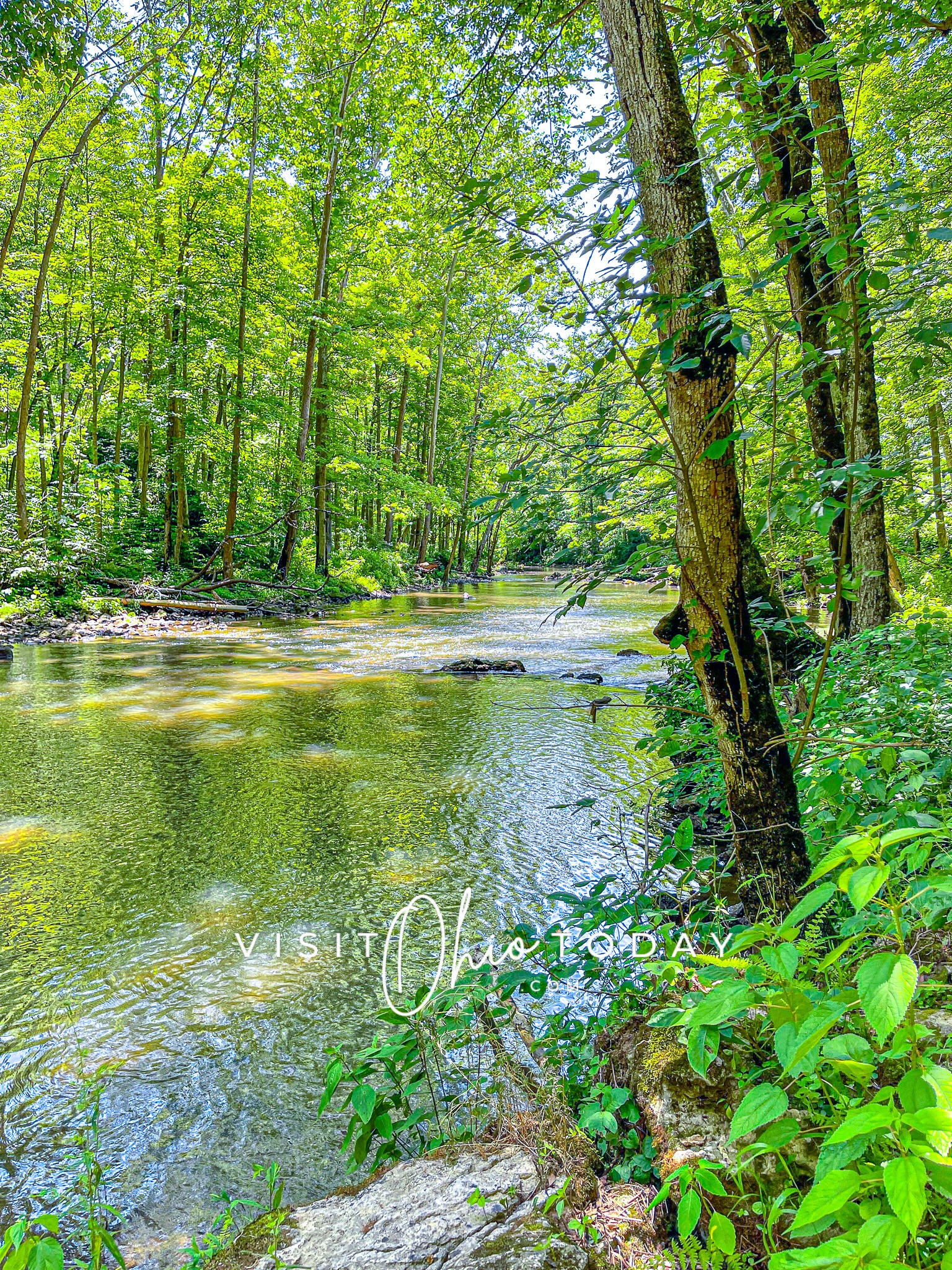 vertical photo of the little miami river at clifton gorge. The water movement is gentle, and the surrounding trees and foliage are very green Photo credit: Cindy Gordon of VisitOhioToday.com