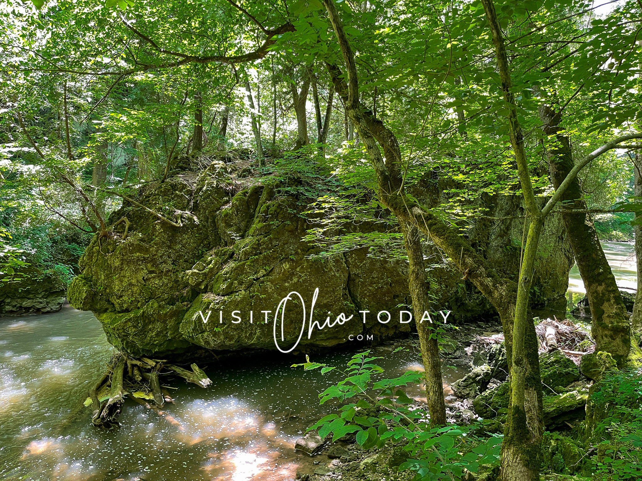 horizontal photo of the little miami river with a large rock on the bank behind a tree. Photo credit: Cindy Gordon of VisitOhioToday.com