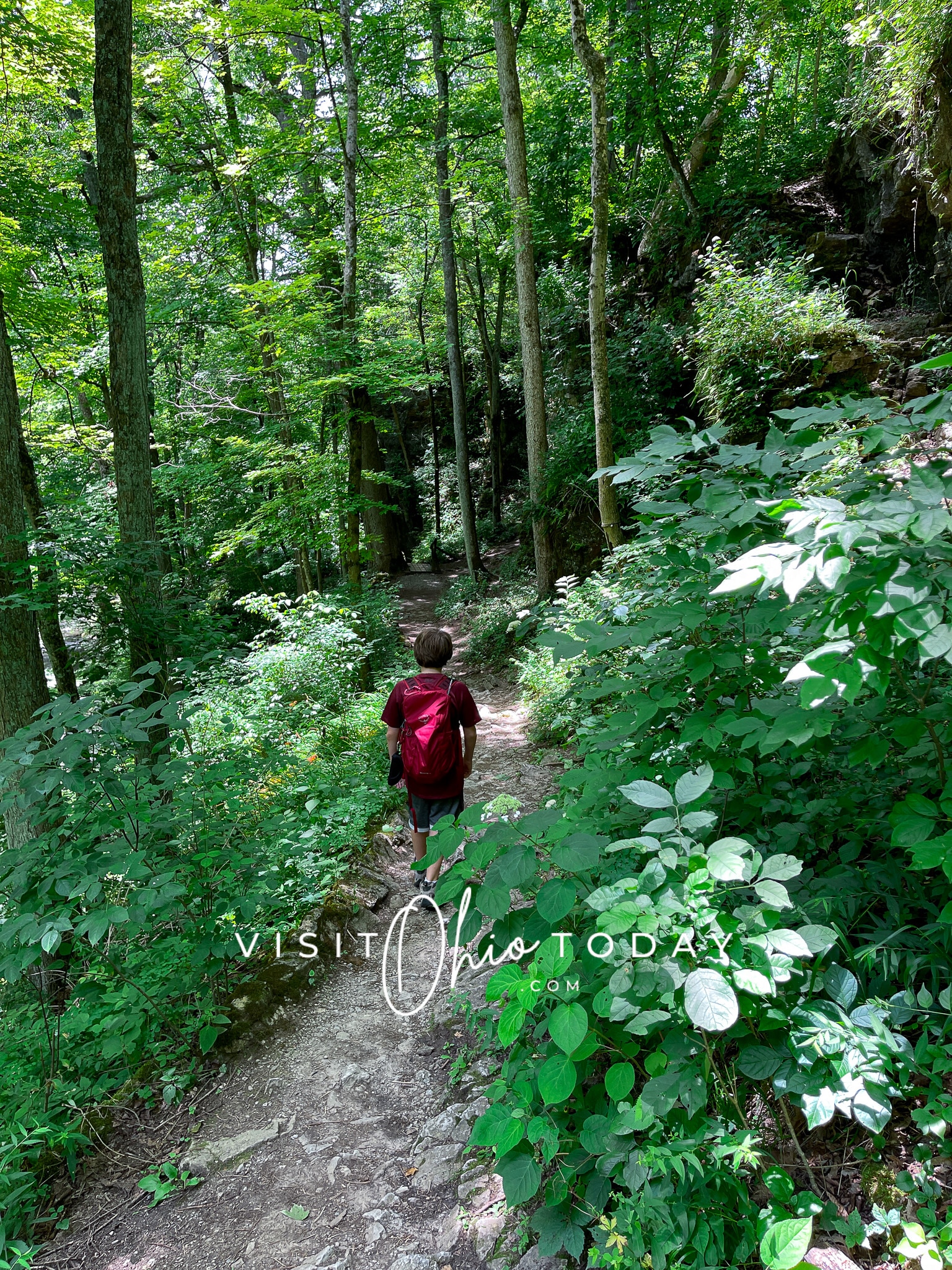 vertical photo of  a boy on  a trail path with very green surrounding trees and foliage