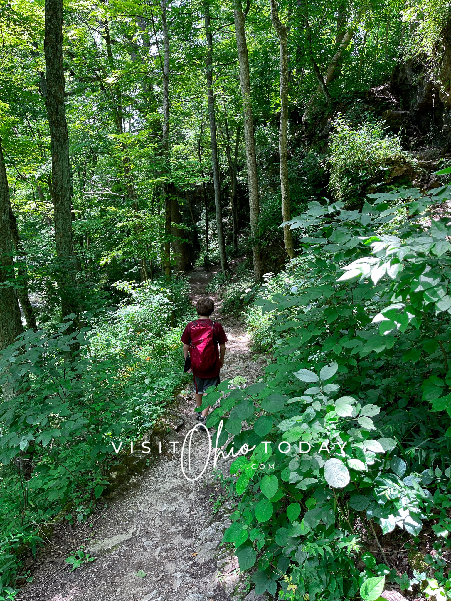 vertical photo of a boy on a trail path with very green surrounding trees and foliage Photo credit: Cindy Gordon of VisitOhioToday.com