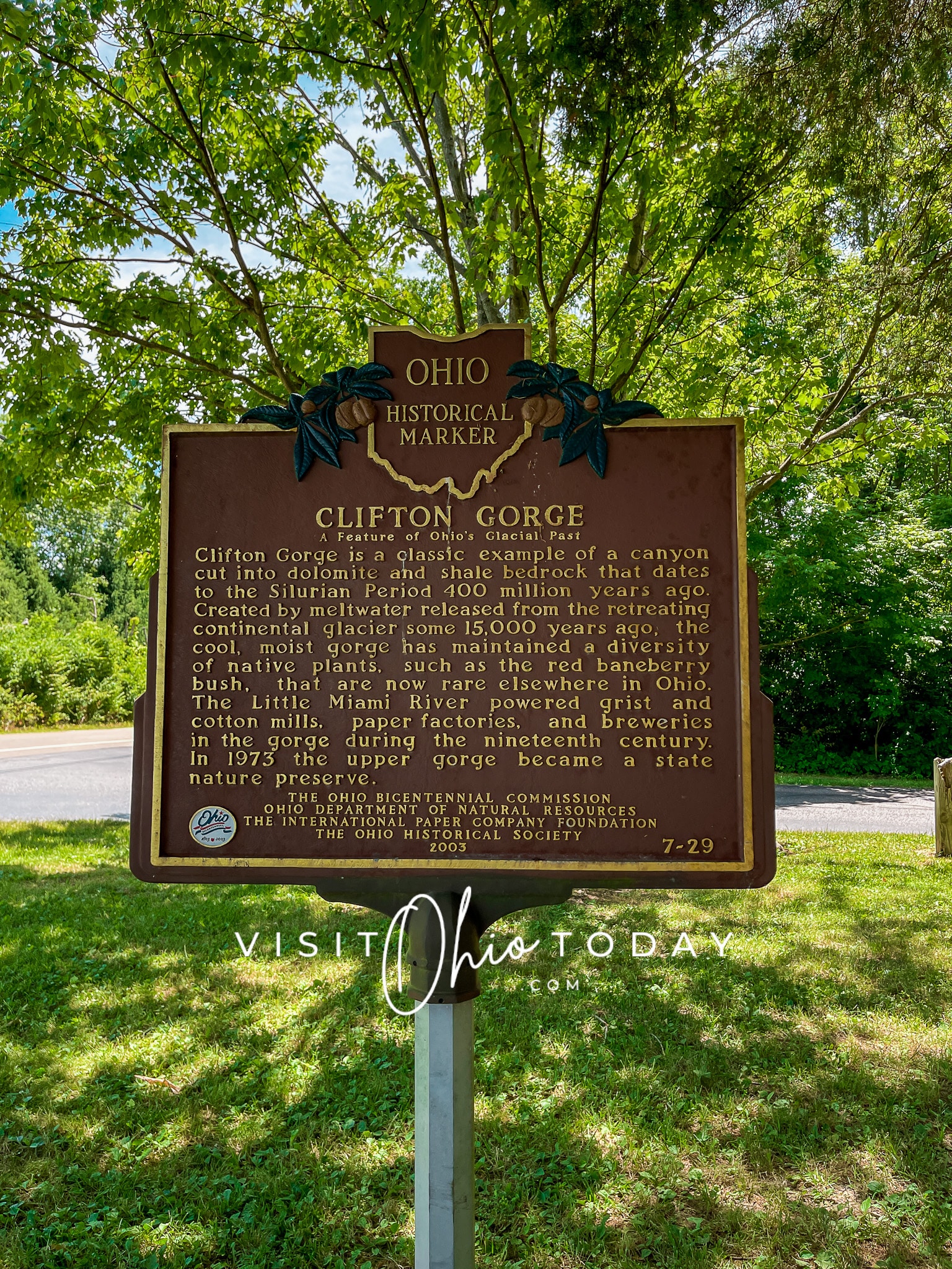 vertical photo of a historical marker at Clifton gorge: Clifton Gorge is a classic example of a canyon cut into dolomite and shale bedrock that dates to the Silurian Period 400 million years ago. Created by meltwater released from the retreating continental glacier some 15,000 years ago, the cool, moist gorge has maintained a diversity of native plants, such as the red baneberry bush, that are not rare elsewhere in Ohio. The Little Miami River powered grist and cotton mills, paper factories, and breweries in the gorge during the nineteenth century. In 1973 the upper gorge became a state nature preserve.
