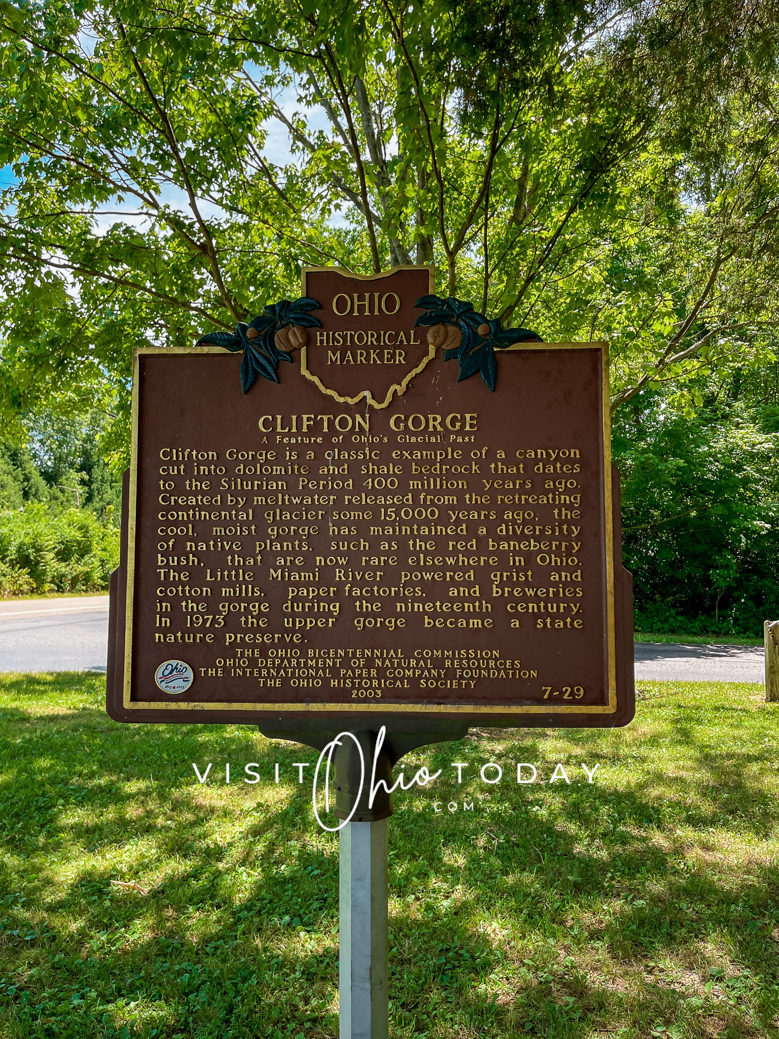 vertical photo of a historical marker at Clifton gorge: Clifton Gorge is a classic example of a canyon cut into dolomite and shale bedrock that dates to the Silurian Period 400 million years ago. Created by meltwater released from the retreating continental glacier some 15,000 years ago, the cool, moist gorge has maintained a diversity of native plants, such as the red baneberry bush, that are not rare elsewhere in Ohio. The Little Miami River powered grist and cotton mills, paper factories, and breweries in the gorge during the nineteenth century. In 1973 the upper gorge became a state nature preserve. Photo credit: Cindy Gordon of VisitOhioToday.com