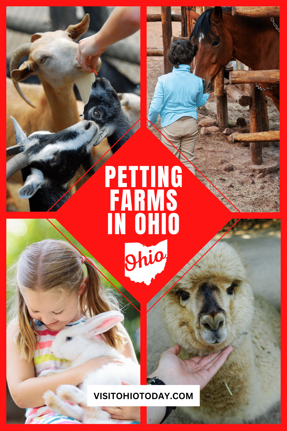 Petting Farms in Ohio are some of the best places you can ever visit. Not only are they full of wonderful animals, but they are also educational as well. The kids will enjoy the interaction with the animals at the petting farms.
