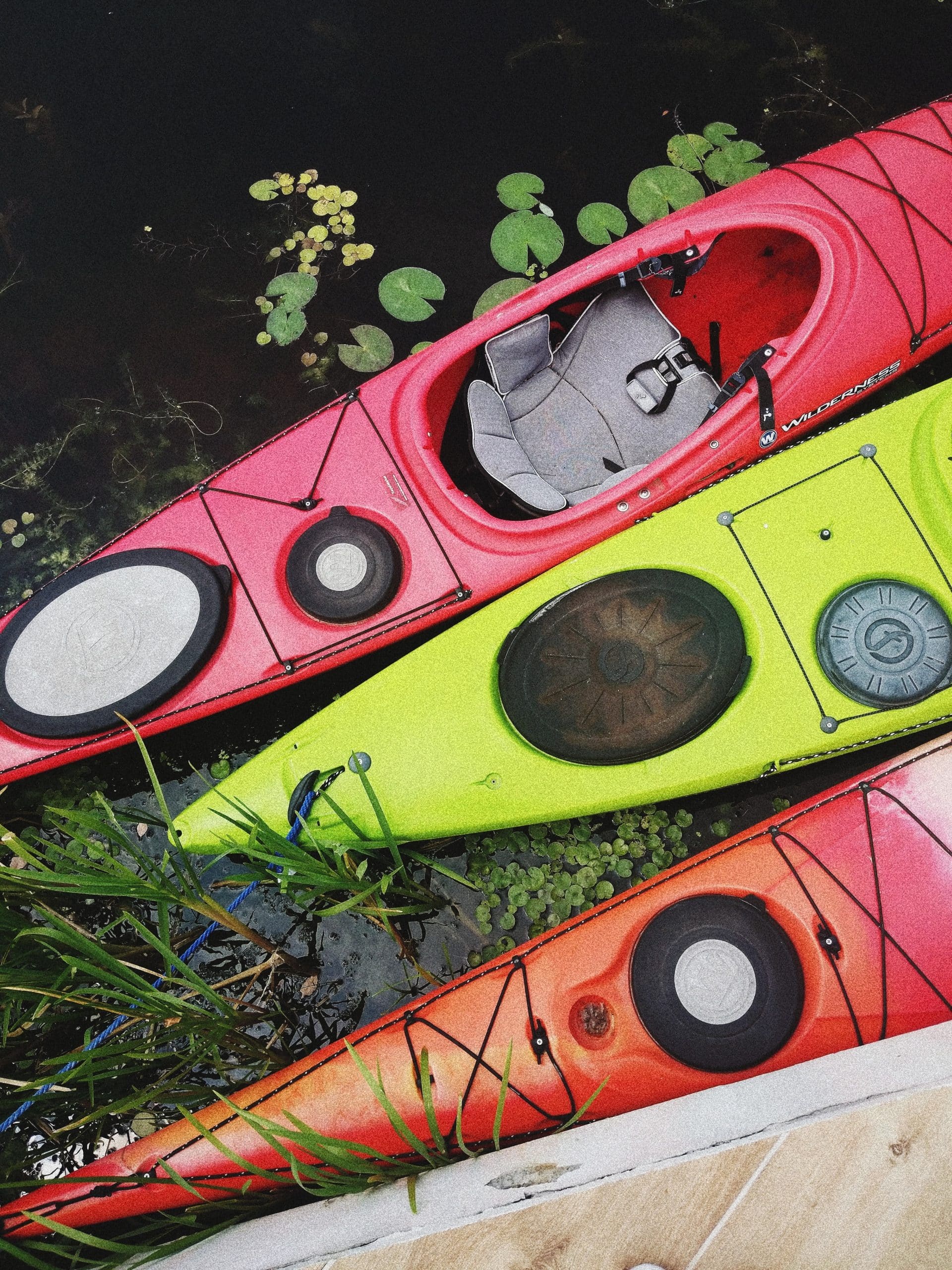 vertical photo of 3 moored kayaks on the water with lilypads and water grasses around them