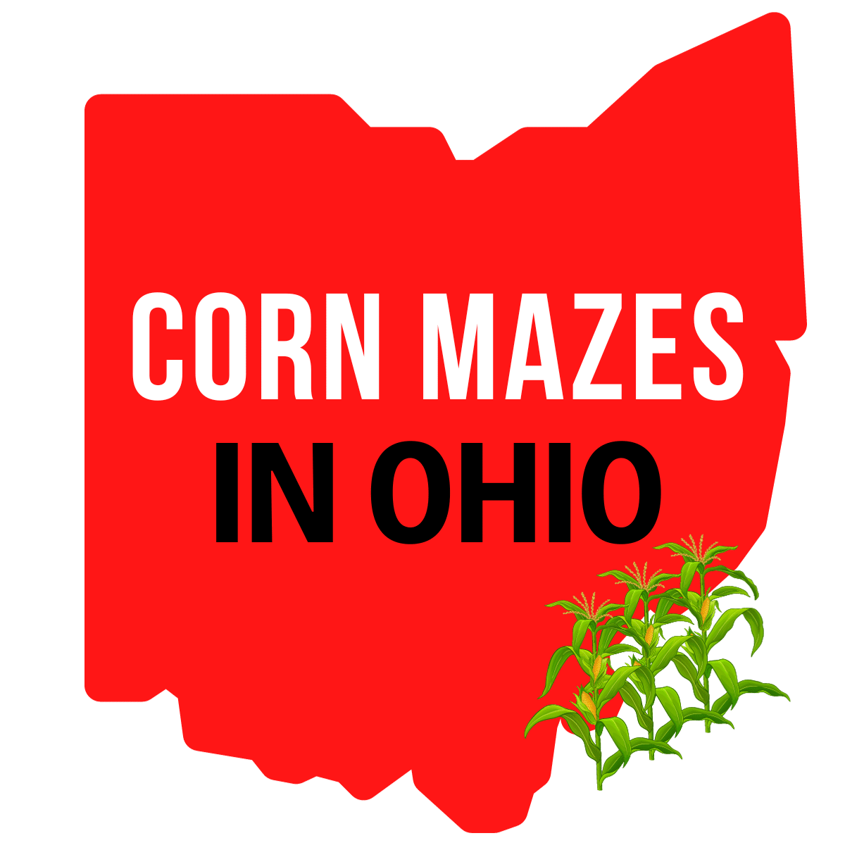 corn-mazes-in-ohio-visit-ohio-today