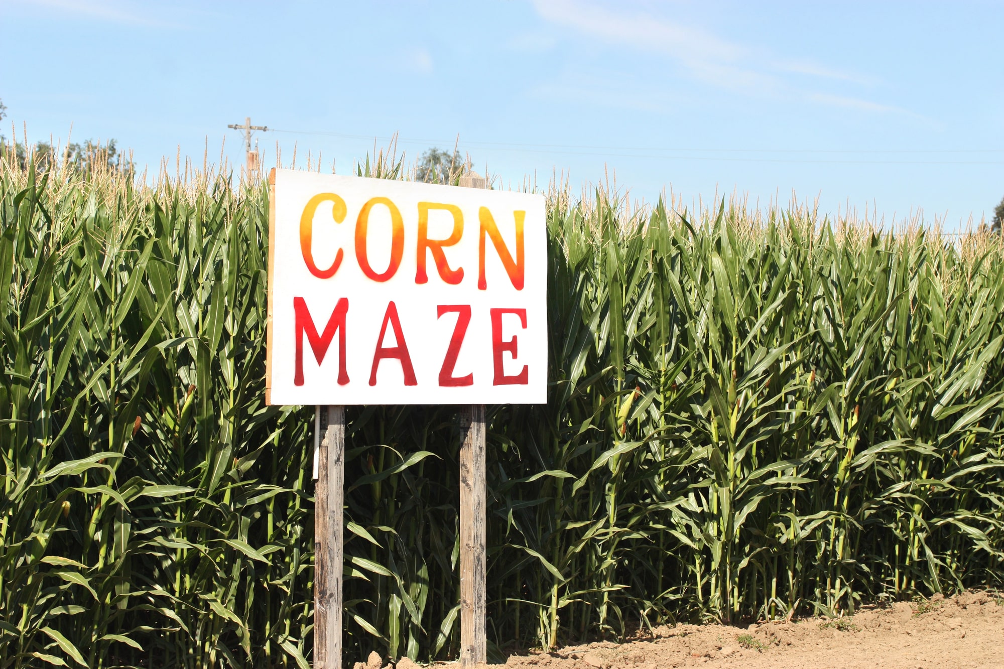 horizontal photo of the entrance to a maze with a large 'Corn Maze' sign