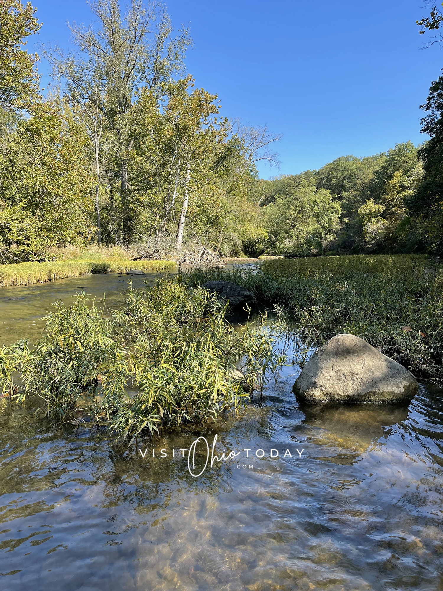 vertical photo showing the creek at batelle darby creek metro park with a large rock in the water and a bank with trees and grass in the background