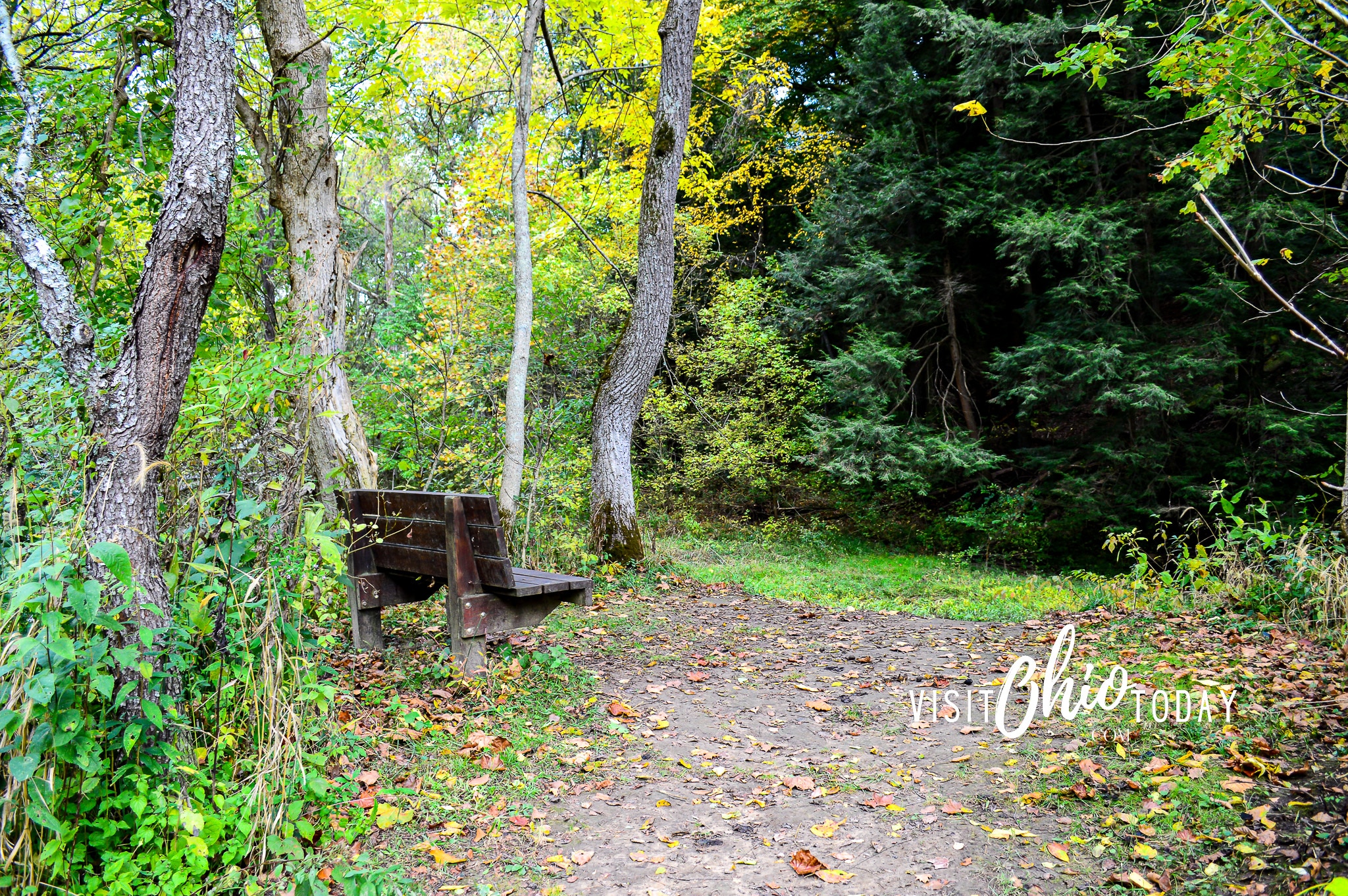 horizontal photo of a bench amongst the trees at clear creek metro park. Photo credit: Cindy Gordon of VisitOhioToday.com