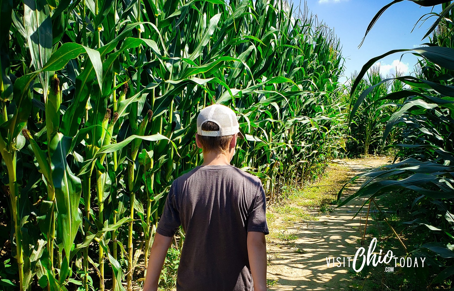 horizontal photo of young boy walking a dirt path through Cowvins Corny maze. Photo credit: Cindy Gordon of VisitOhioToday.com