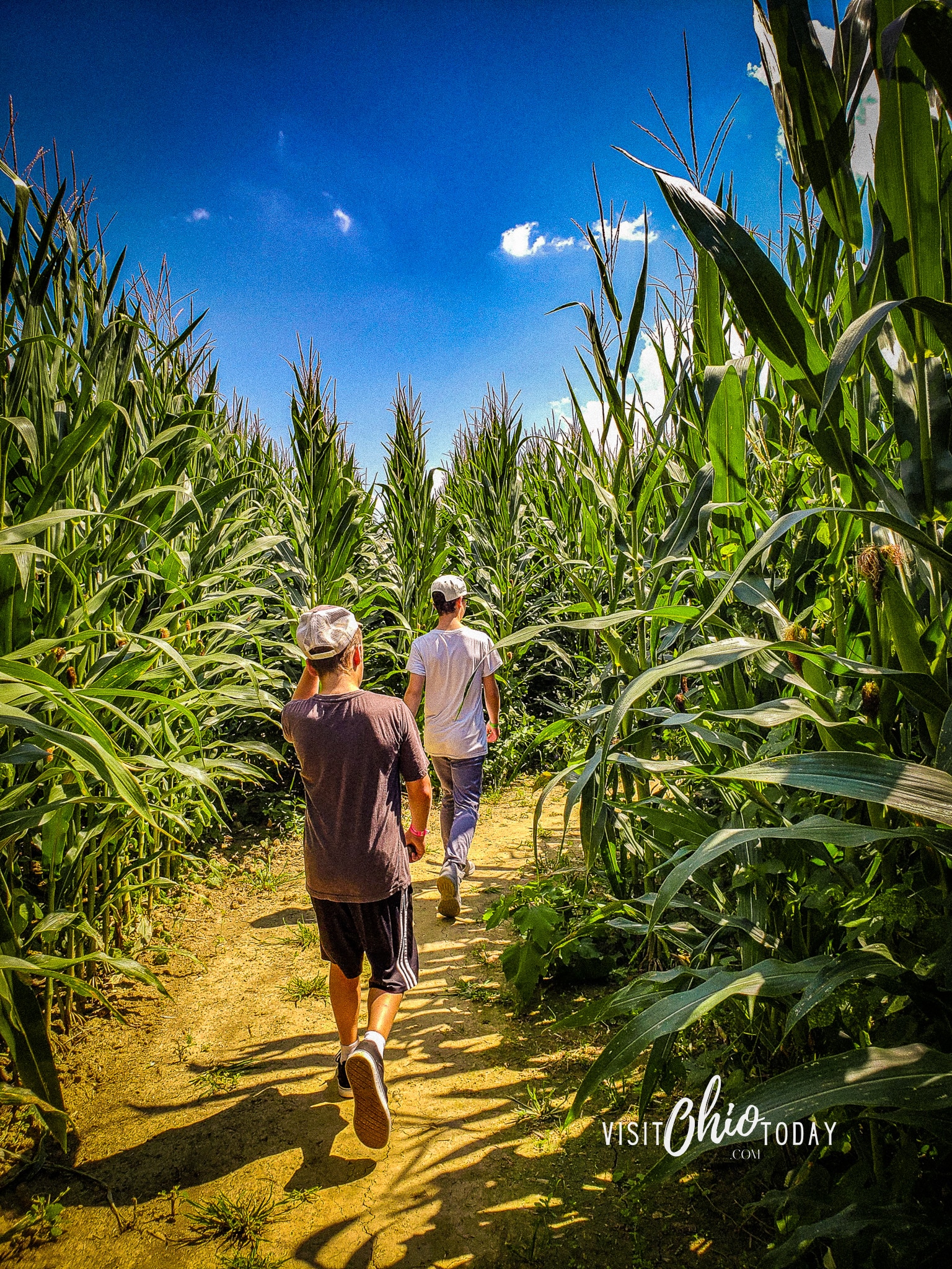 photo of a young boy and man walking on a dirt path through corn field