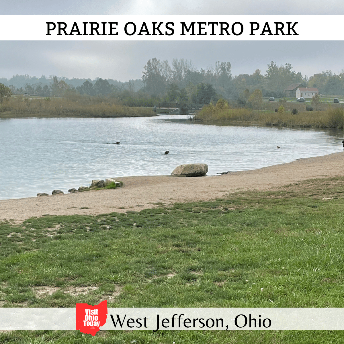 Ticks In Ohio Visit Ohio Today Ticks in ohio visit ohio today