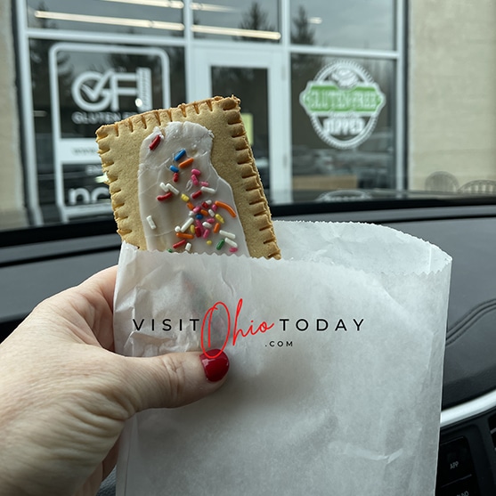 square photo of a pop tart from gluten free from the dipped