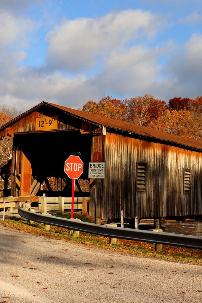 vertical photo showing an autumnal harpersfield covered bridge, with trees in the background