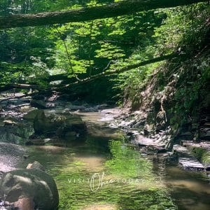 square photo showing a shallow part of the river at highbanks metro park, with rock formations on both sides and trees with overhanging branches