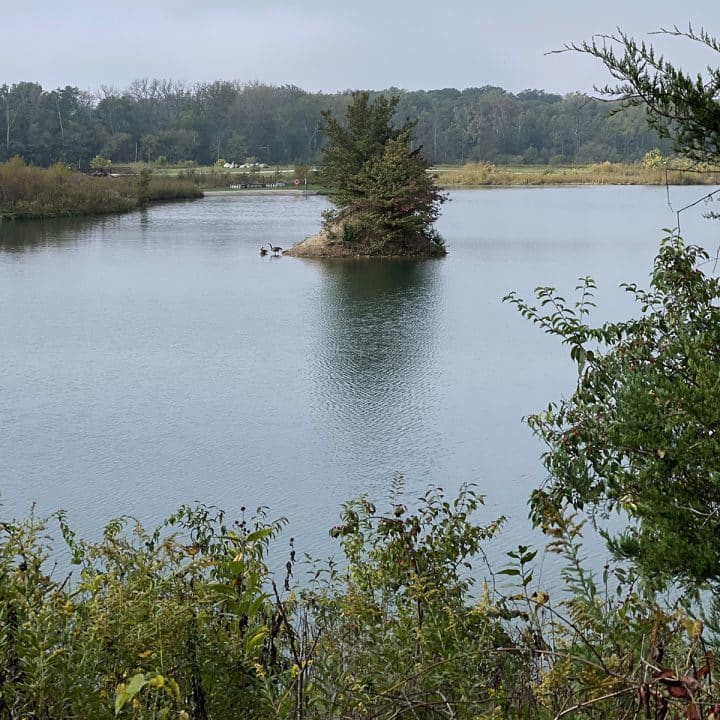 square photo showing a lake at prairie oaks metro park with a small island with foliage on it