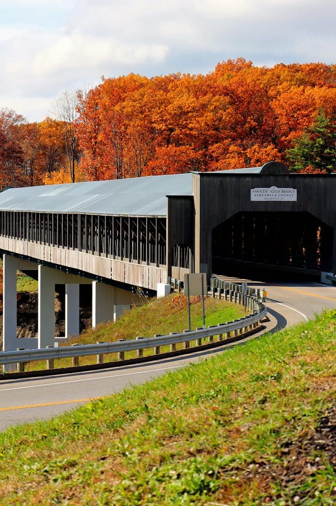 vertical photo of smolen gulf bridge with grass and a road in the foreground and autumn-colored trees in the background