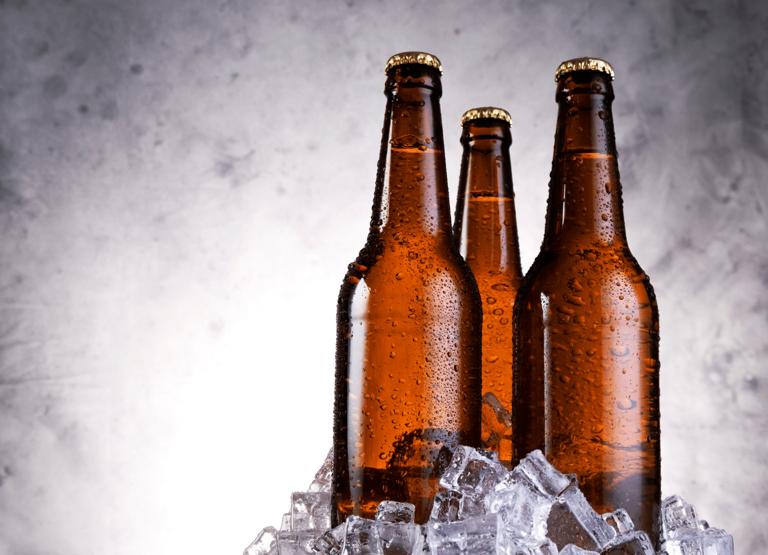 horizontal photo of three bottles of beer on a bed of ice with a gray background