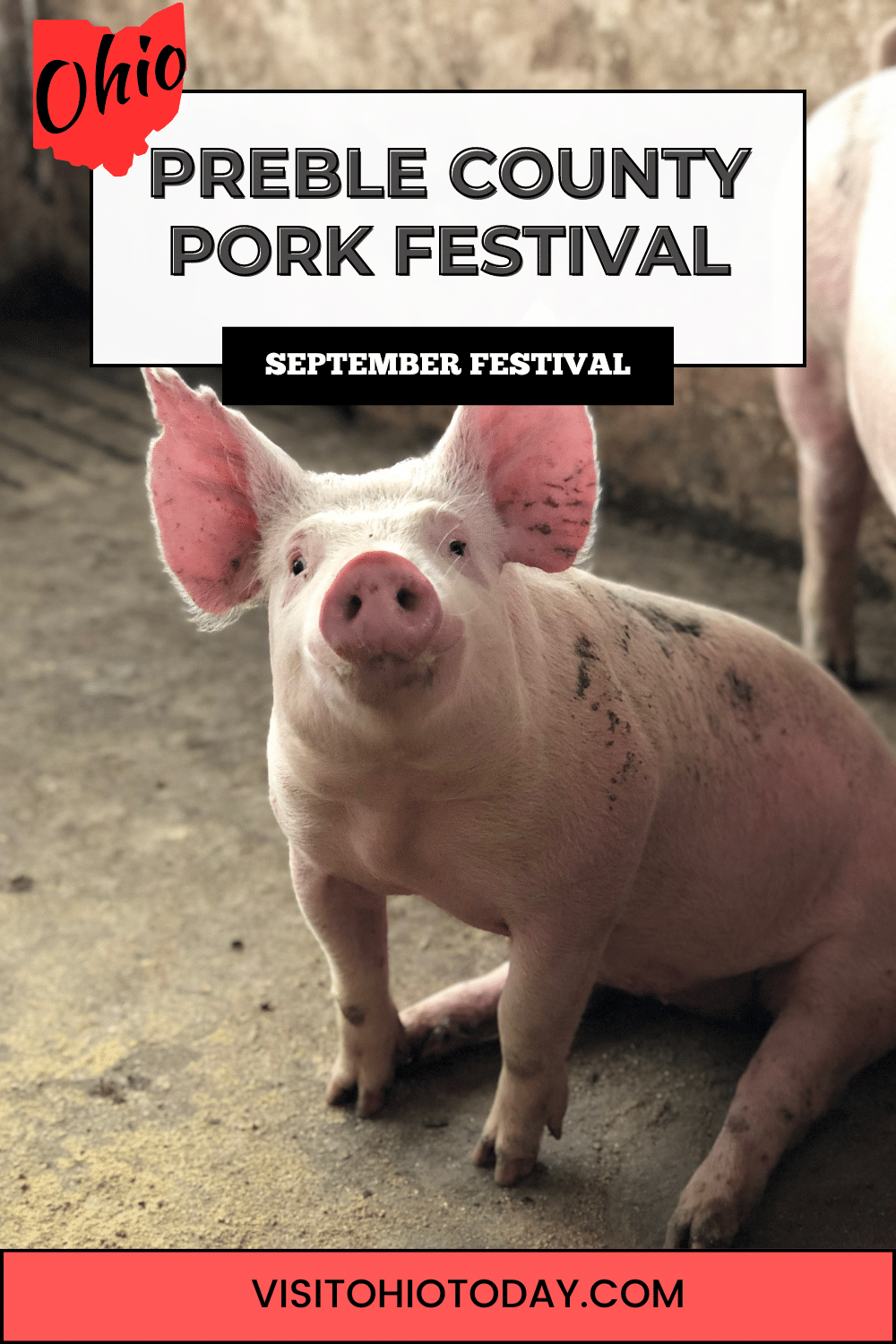 Experience the mouthwatering delights of the Preble County Pork Festival, a beloved tradition since 1970. Savor the region's best pork chops, delectable sides, and heavenly breakfast pancakes with sausage in a celebration where food reigns supreme.
