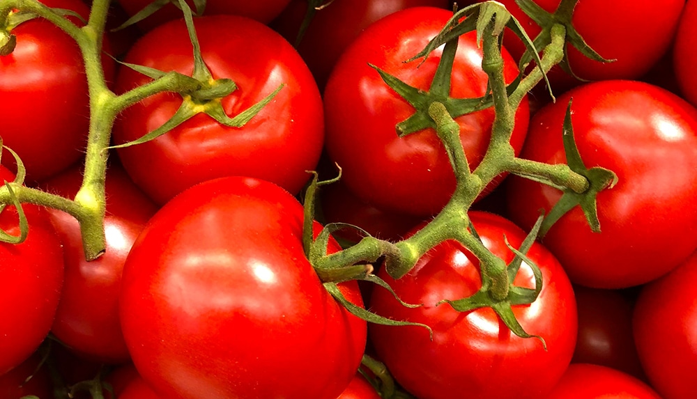 vertical photo of a pile of bright red cherry tomatoes attached to the vine. Image from Julia Nagy on Pexels https://www.pexels.com/photo/tomato-lot-1327838/