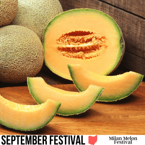square image of some cantaloupe melons in the background and a cut and sliced cantaloupe melon in the foreground. A white strip at the bottom has the text: September Festival Milan Melon Festival. Image via Canva